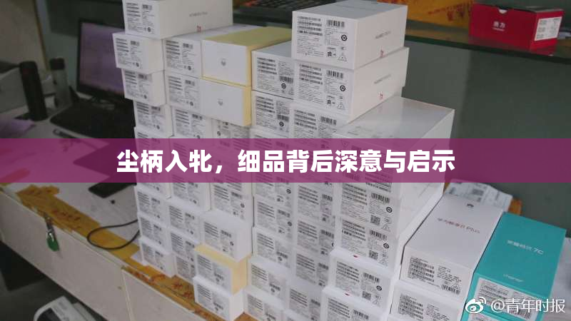 尘柄入牝，细品背后深意与启示
