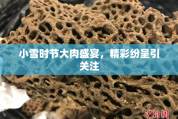 小雪时节大肉盛宴，精彩纷呈引关注