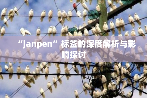 “janpen”标签的深度解析与影响探讨