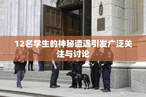 12名学生的神秘遭遇引发广泛关注与讨论
