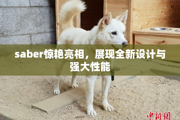 saber惊艳亮相，展现全新设计与强大性能