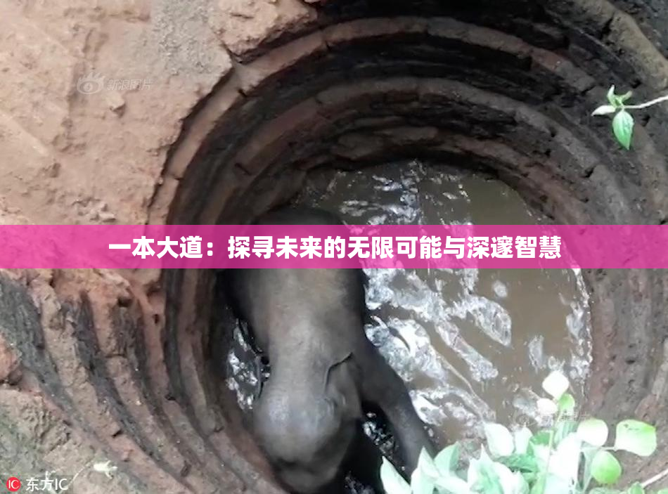 一本大道：探寻未来的无限可能与深邃智慧