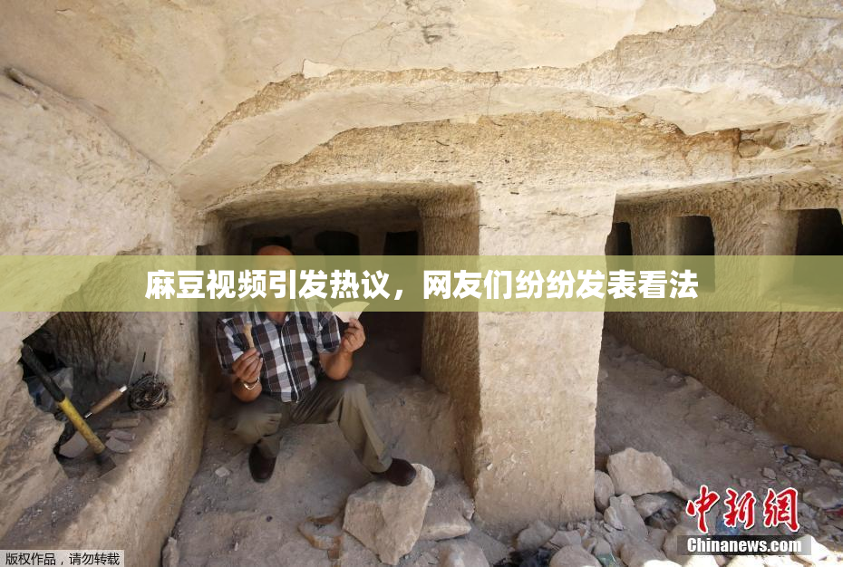 麻豆视频引发热议，网友们纷纷发表看法