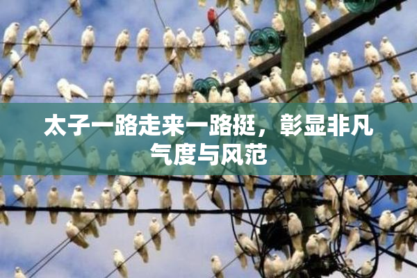 太子一路走来一路挺，彰显非凡气度与风范