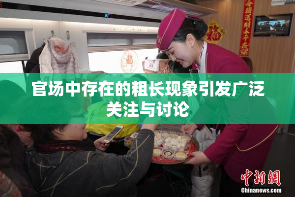官场中存在的粗长现象引发广泛关注与讨论