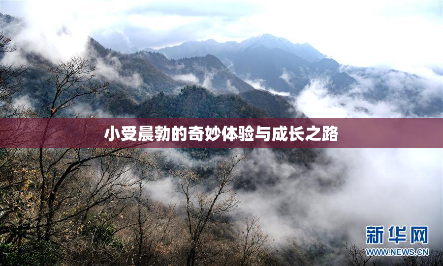 小受晨勃的奇妙体验与成长之路