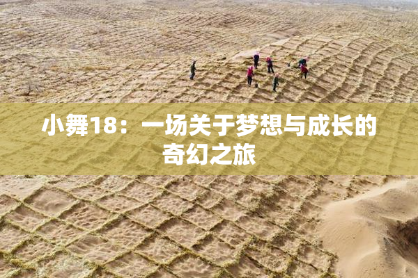 小舞18：一场关于梦想与成长的奇幻之旅