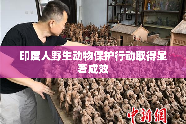 印度人野生动物保护行动取得显著成效