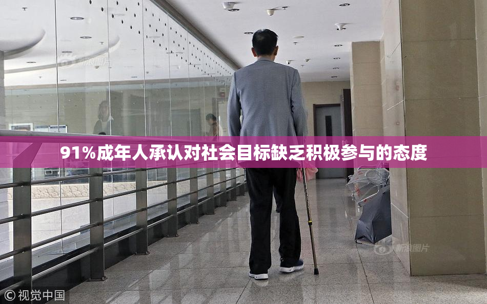 91%成年人承认对社会目标缺乏积极参与的态度