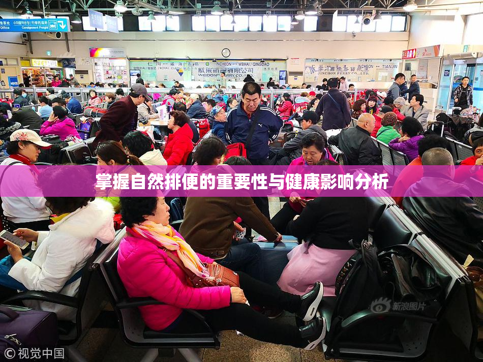 掌握自然排便的重要性与健康影响分析