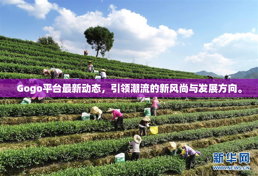 Gogo平台最新动态，引领潮流的新风尚与发展方向。
