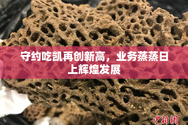 守约吃凯再创新高，业务蒸蒸日上辉煌发展