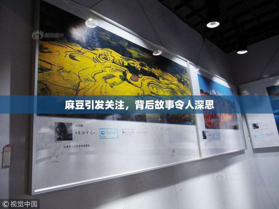 麻豆引发关注，背后故事令人深思