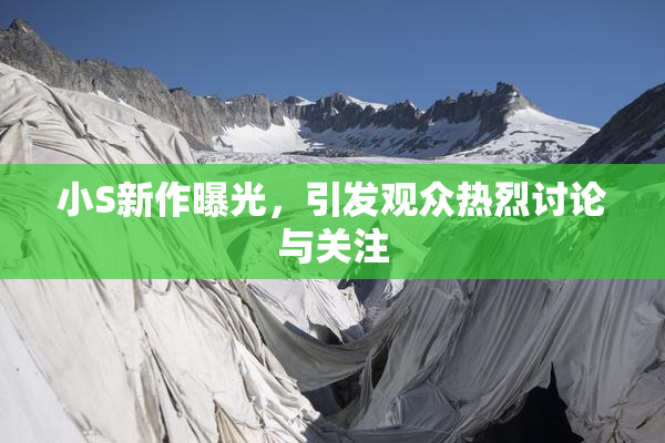 小S新作曝光，引发观众热烈讨论与关注