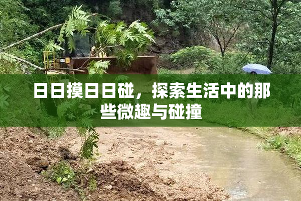 日日摸日日碰，探索生活中的那些微趣与碰撞