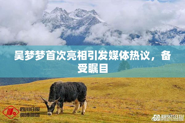吴梦梦首次亮相引发媒体热议，备受瞩目