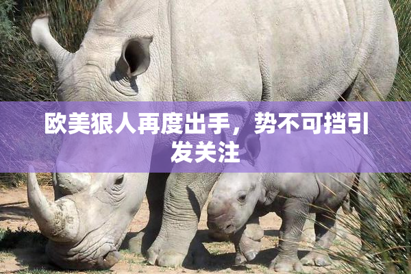 欧美狠人再度出手，势不可挡引发关注
