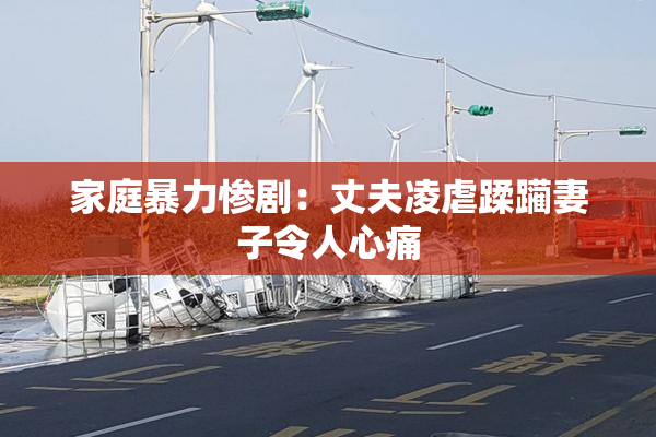 家庭暴力惨剧：丈夫凌虐蹂躏妻子令人心痛