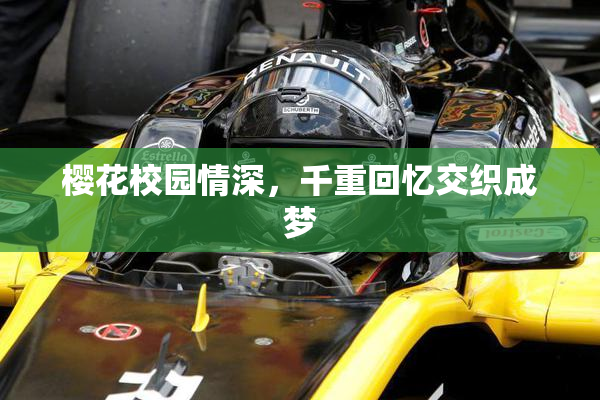 樱花校园情深，千重回忆交织成梦