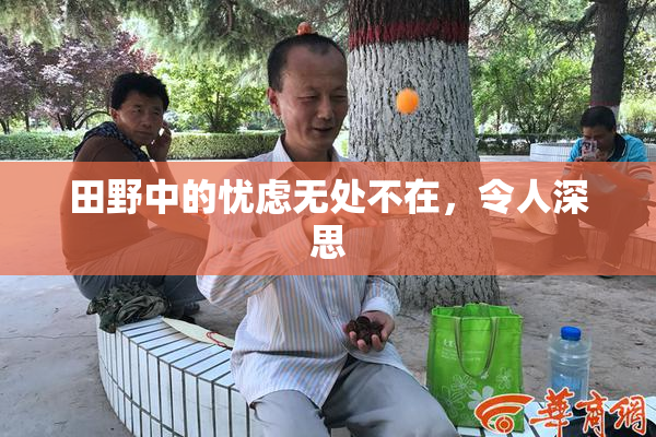 田野中的忧虑无处不在，令人深思