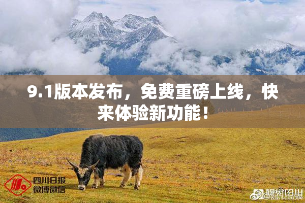 9.1版本发布，免费重磅上线，快来体验新功能！