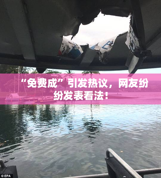 “免费成”引发热议，网友纷纷发表看法！