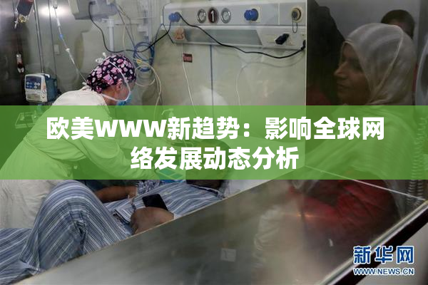 欧美WWW新趋势：影响全球网络发展动态分析