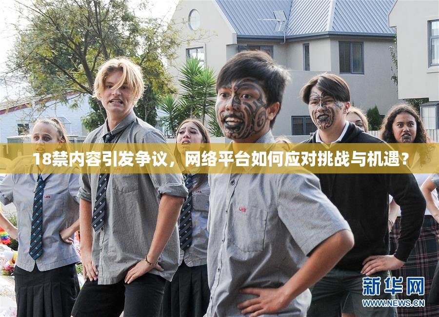 18禁内容引发争议，网络平台如何应对挑战与机遇？