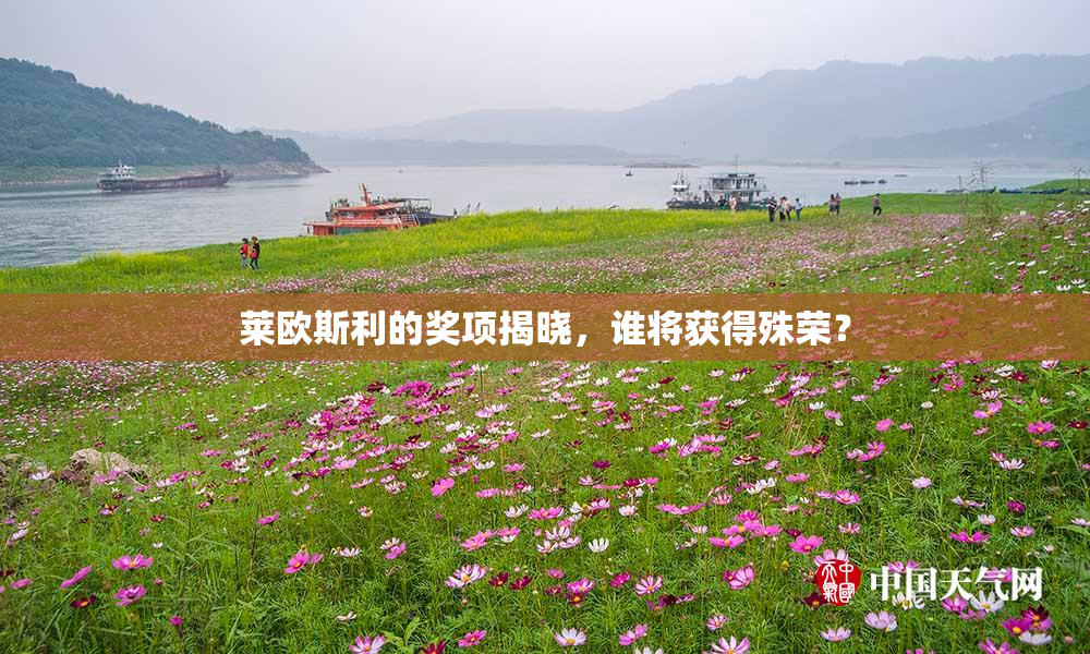 莱欧斯利的奖项揭晓，谁将获得殊荣？