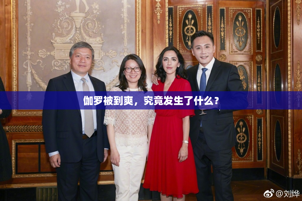 伽罗被到爽，究竟发生了什么？