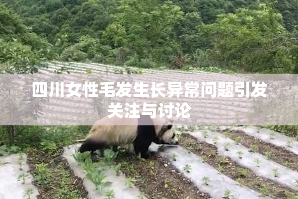 四川女性毛发生长异常问题引发关注与讨论
