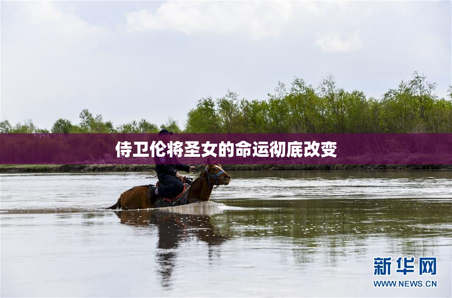 侍卫伦将圣女的命运彻底改变