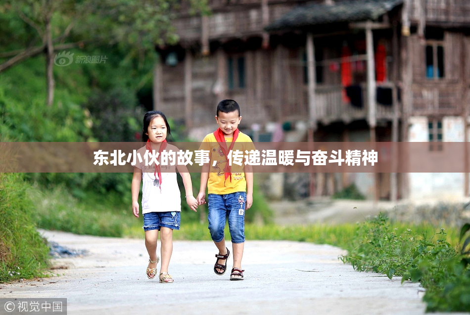 东北小伙的故事，传递温暖与奋斗精神