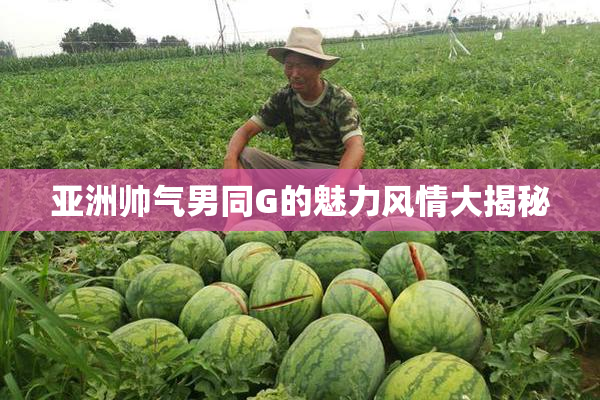 亚洲帅气男同G的魅力风情大揭秘