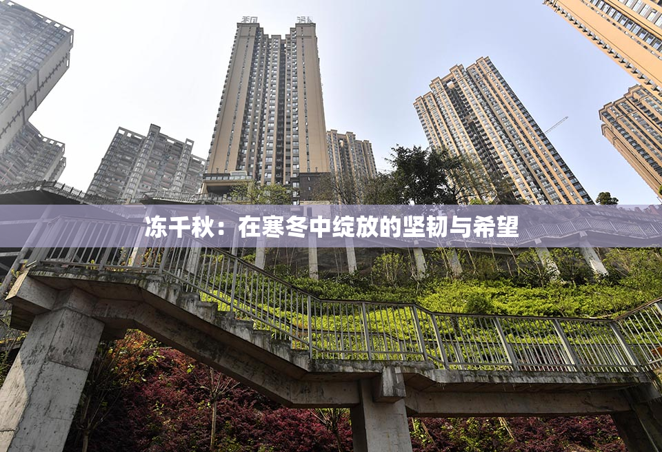 冻千秋：在寒冬中绽放的坚韧与希望