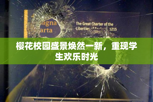 樱花校园盛景焕然一新，重现学生欢乐时光