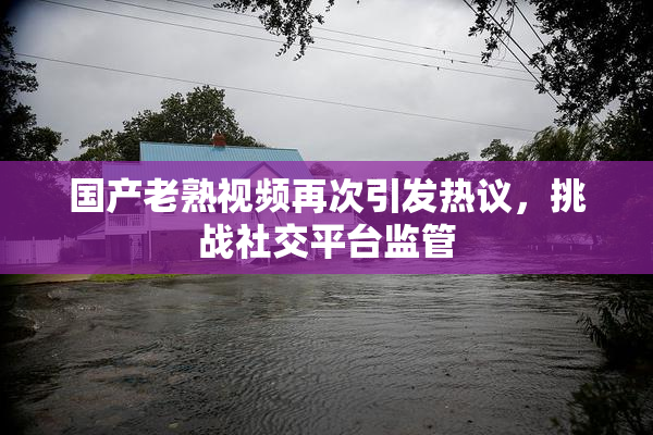 国产老熟视频再次引发热议，挑战社交平台监管