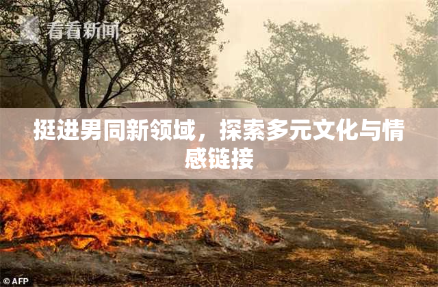 挺进男同新领域，探索多元文化与情感链接
