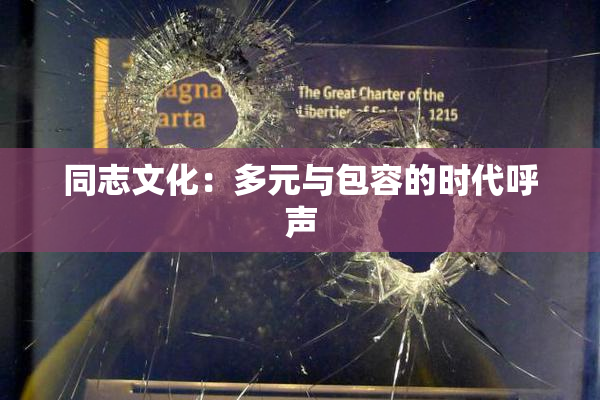 同志文化：多元与包容的时代呼声