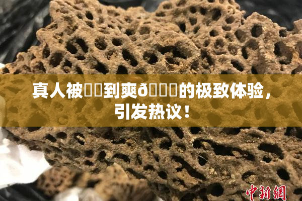真人被❌‌到爽🔞的极致体验，引发热议！