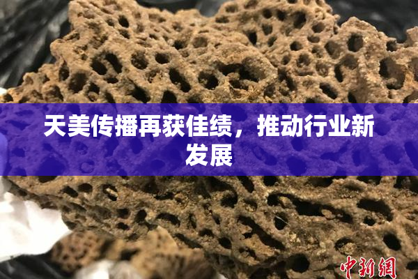 天美传播再获佳绩，推动行业新发展