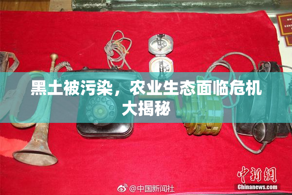 黑土被污染，农业生态面临危机大揭秘