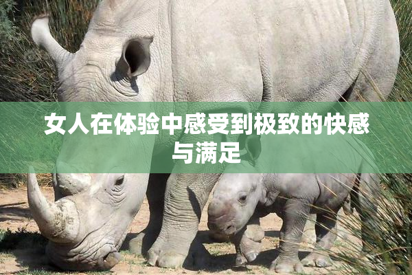 女人在体验中感受到极致的快感与满足