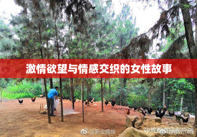 激情欲望与情感交织的女性故事