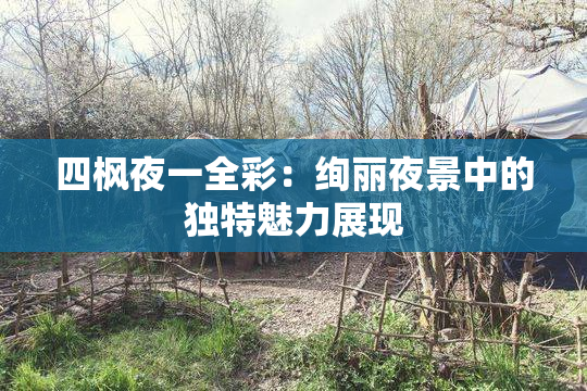 四枫夜一全彩：绚丽夜景中的独特魅力展现