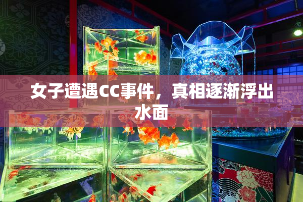 女子遭遇CC事件，真相逐渐浮出水面