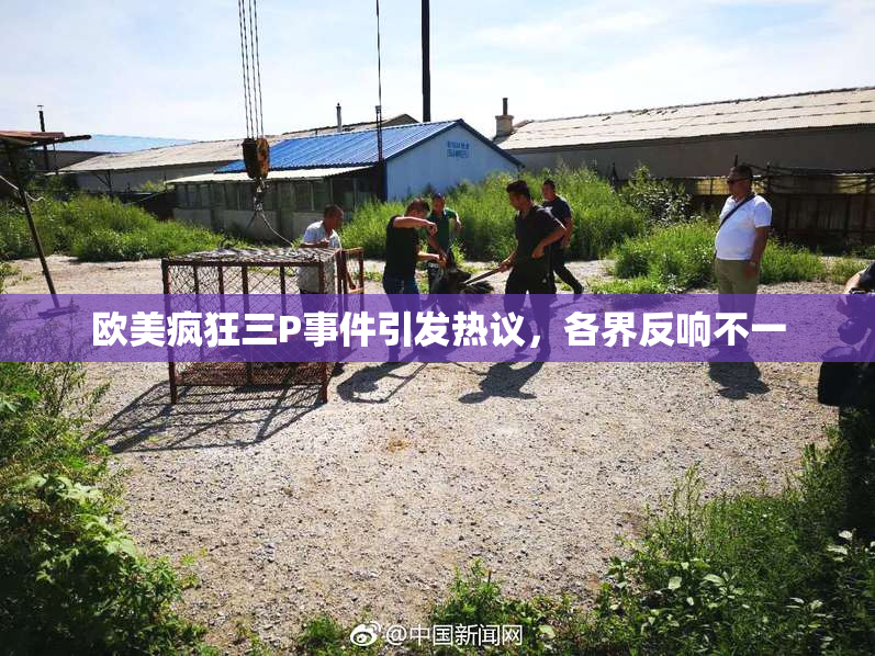 欧美疯狂三P事件引发热议，各界反响不一