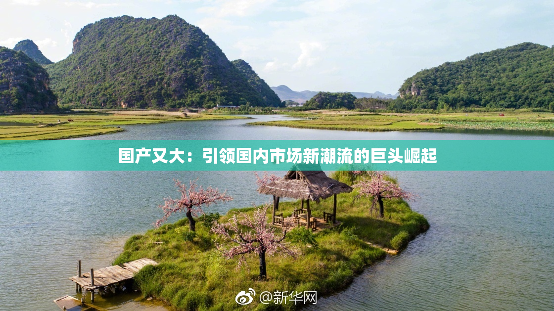 国产又大：引领国内市场新潮流的巨头崛起