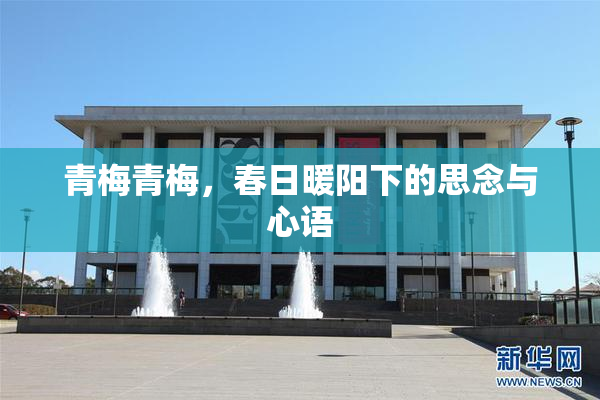 青梅青梅，春日暖阳下的思念与心语