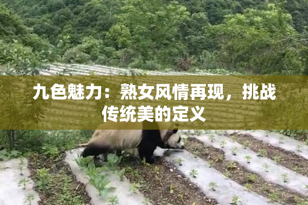 九色魅力：熟女风情再现，挑战传统美的定义